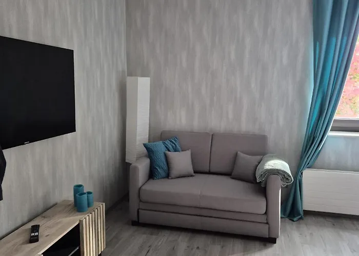 Apartament Studio Apartment